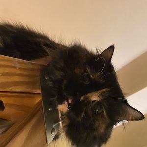 Meet your Posher, Dave